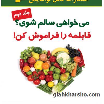 کتاب میخواهی سالم شوی؟ قابلمه را فراموش کن جلد دوم