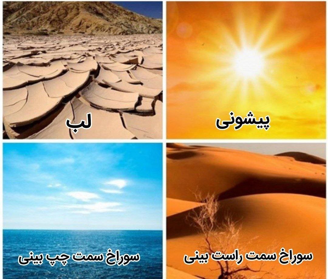 موقعیکه یه غیر وگان سرما میخوره