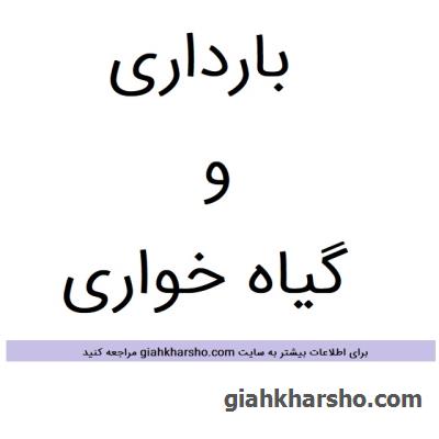 راهنمای تغذیه گیاه خواری در دوران بارداری ، شیردهی و نوزادی