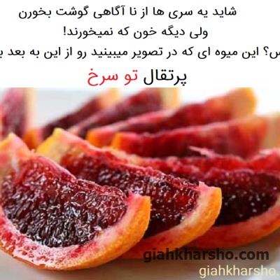 اسم این میوه : پرتقال تو سرخ