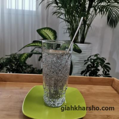 شربت دانه چیا