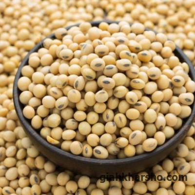 سویا حاوی 9 اسید آمینه ضروری برای بدن است